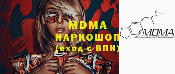 хмурый Аркадак