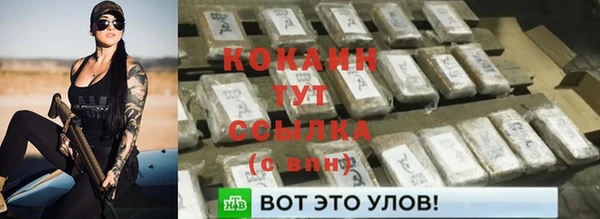 прущие крисы Вяземский