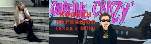 хмурый Аркадак