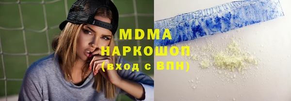 хмурый Аркадак