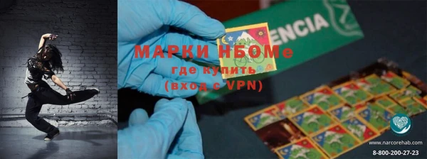 хмурый Аркадак