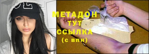 индика Арсеньев