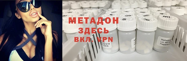 индика Арсеньев