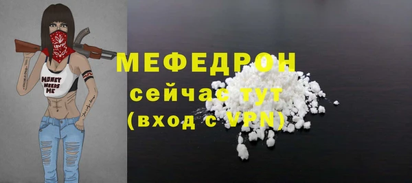 индика Арсеньев