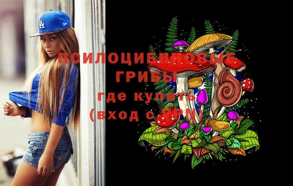 хмурый Аркадак