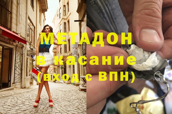 индика Арсеньев