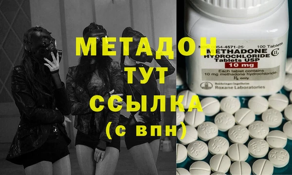 хмурый Аркадак