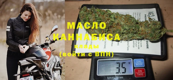 хмурый Аркадак