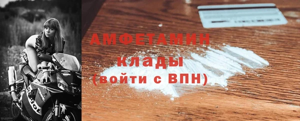индика Арсеньев