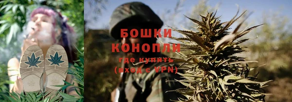 индика Арсеньев